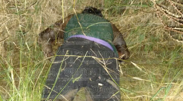 Sin identificar cadáver hallado en un potrero sin-identificar-cadaver-hallado-en-un-potrero