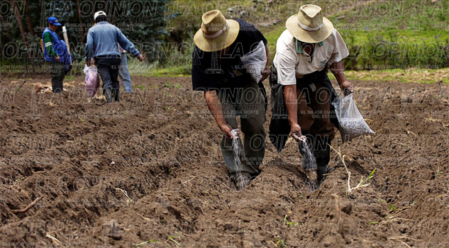 Bajo presupuesto agobia a productores bajo-presupuesto-agobia-a-productores