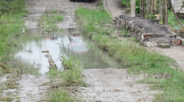 caminan-entre-aguas-negras