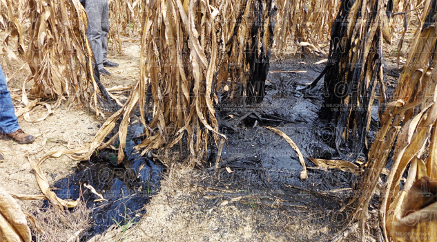 Fuga en el pozo Furberos 1629 Fuga en el pozo Furberos 1629