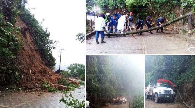 Estragos por frente frío número 7 estragos-por-frente-frio-numero-7