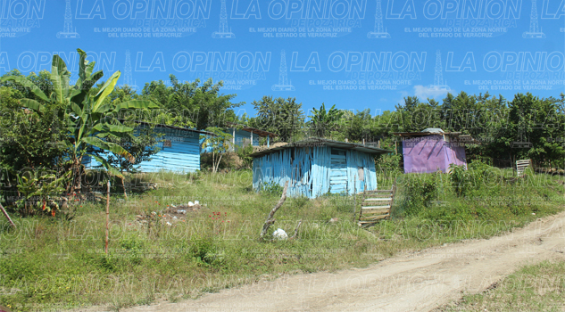 Funcionario público promueve invasiones funcionario-publico-promueve-invasiones