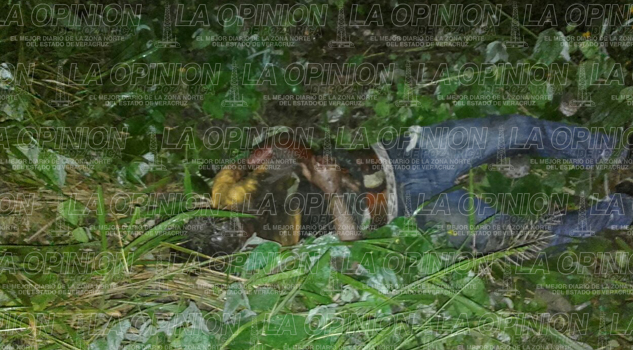 Hallan cadáver tirado en la Tuxpan-Tamiahua hallan-cadaver-tirado-en-la-tuxpan-tamiahua