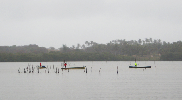 Piden castigo para pescadores furtivos piden-castigo-para-pescadores-furtivos