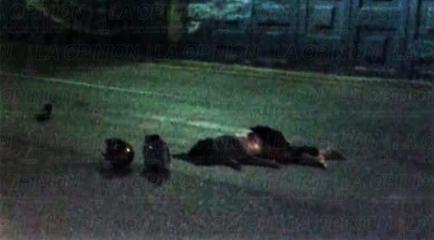 Se mata mujer en moto se-mata-mujer-en-moto