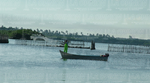 Sedesol se quedará con más de 800 mil pesos sedesol-se-quedara-con-mas-de-800-mil-pesos