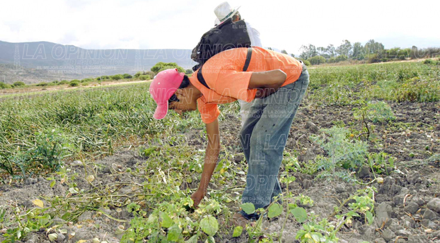 Urge el programa atención a re-patriados urge-atencion-a-re-patriadosurge-atencion-a-re-patriados