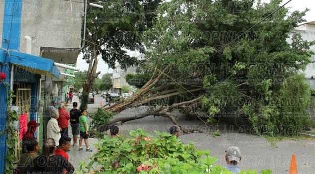 Afectaciones por el norte Afectaciones por el norte