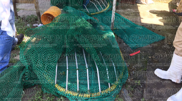 Amenazaban a las tortugas amenazaban-a-las-tortugas