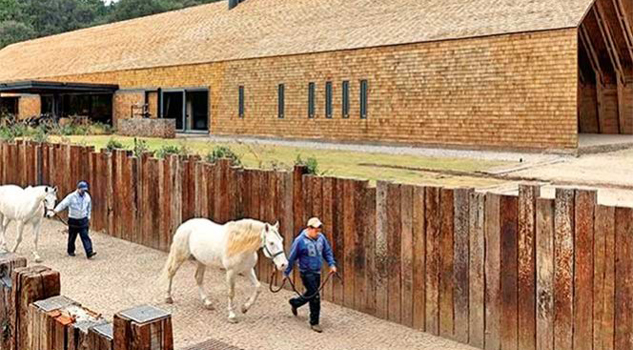 Anuncian subasta de bienes de Duarte anuncian-subasta-de-bienes-de-duarte