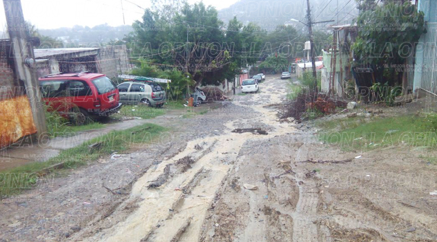 Cae pino en la calle Lucio Blanco de la Revolución