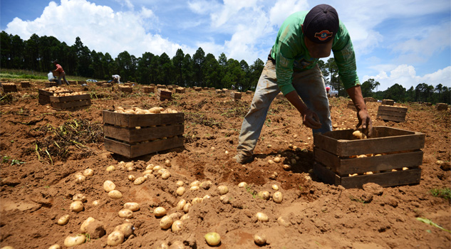 Desvían recursos del campo desvian-recursos-del-campo
