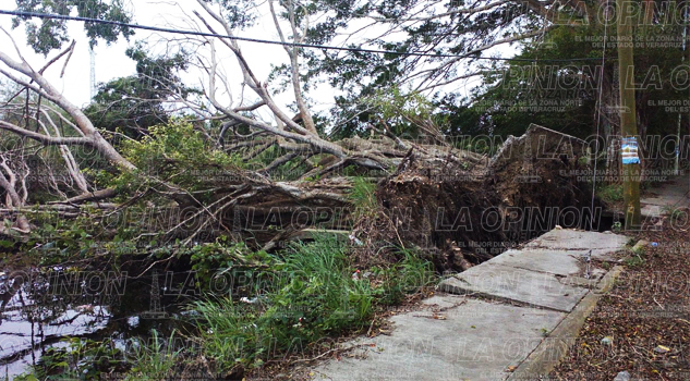Estela de destrucción en la zona costera de Tuxpan Estela de destrucción en la zona costera de Tuxpan
