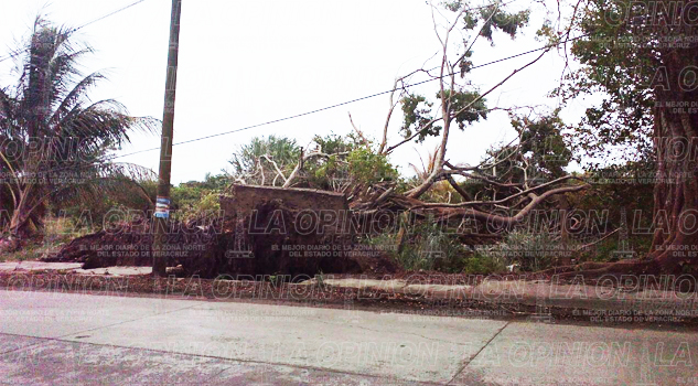 Estela de destrucción en la zona costera de Tuxpan