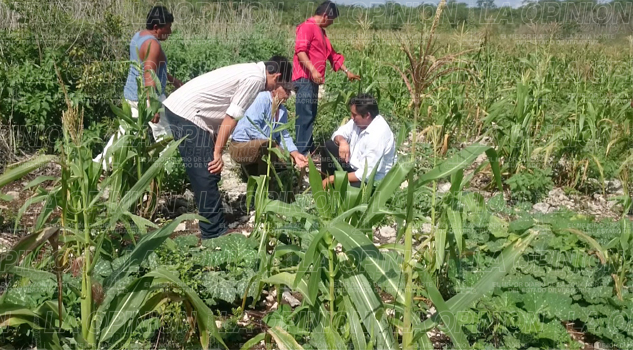 Fondo emergente de $200 millones Fondo emergente de $200 millones