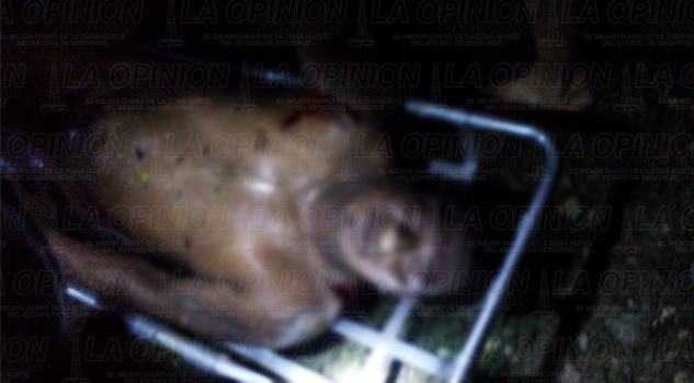 Identificaron cadáver que estaba bajo un puente