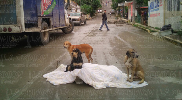 Indigente muere arrollado Indigente muere arrollado