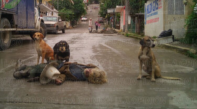 Indigente muere arrollado