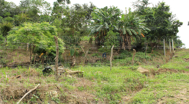Invaden terrenos del Ayuntamiento invaden-terrenos-del-ayuntamiento