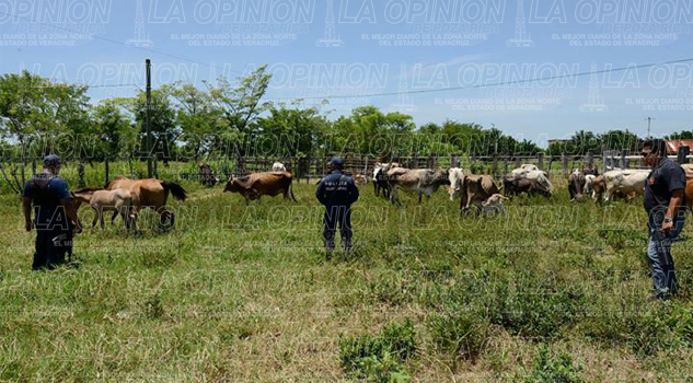 Mantendrán las guardias comunitarias