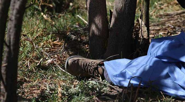 Muere arrollado por camioneta muere-arrollado-por-camioneta