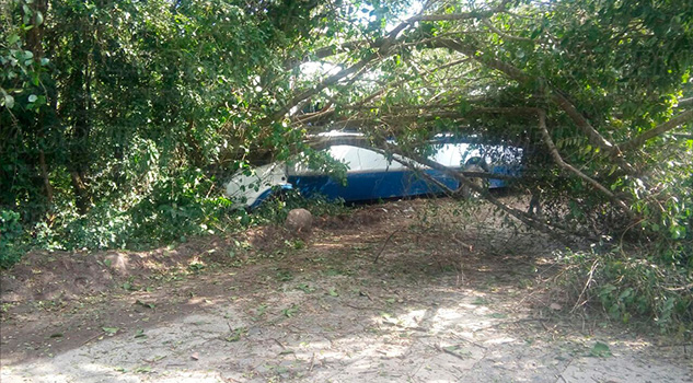 Un muerto y dieciocho heridos Muerto Autobús Carretera