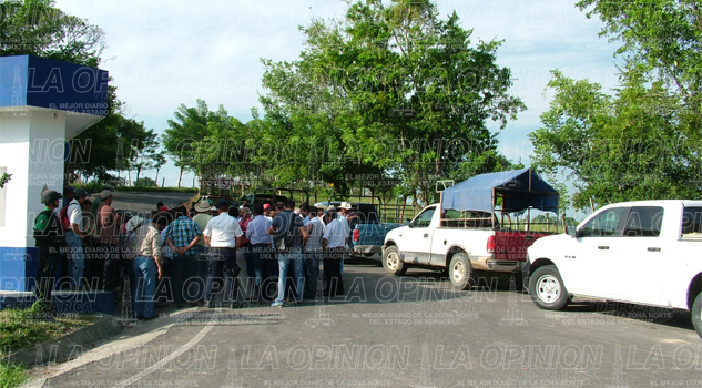 Productores preparan nuevas protestas productores-preparan-nuevas-protestas