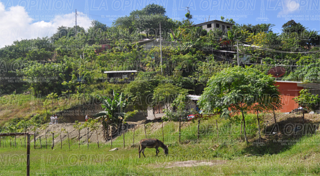 Saquean viviendas  Saquean viviendas