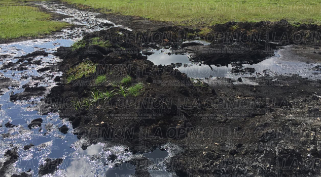 Severos daños por derrame de crudo Severos daños por derrame de crudo