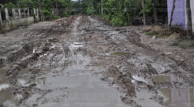 Sus calles son ahora un lodazal sus-calles-son-ahora-un-lodazal