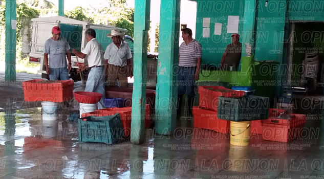 Turismo llega por mariscos Turismo llega por mariscos