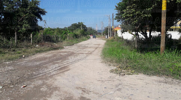 Urge drenaje sanitario en la calle Jazmín de la Salvador Allende urge-drenaje-sanitario-en-la-calle-jazmin-de-la-salvador-allende