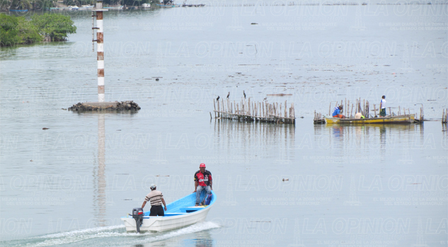 Acaban con la laguna Acaban con la laguna