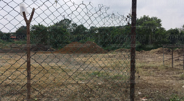 Arranca el programa "Recicla tu Navidad" Arranca el programa