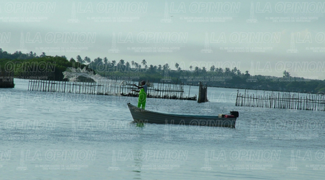 Baja pesca en la laguna Baja pesca en la laguna