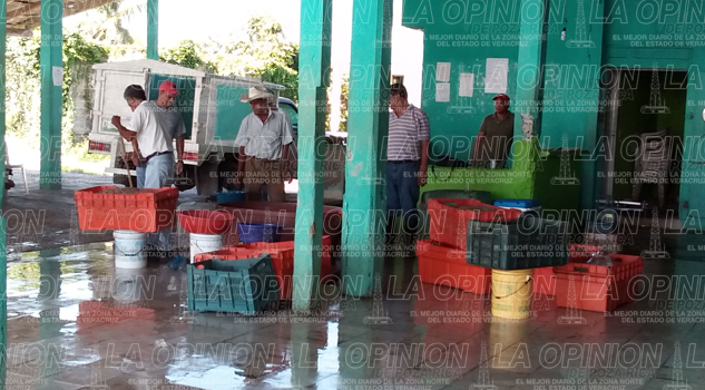 Cae pesca de camarón en laguna de Tamiahua Cae pesca de camarón en laguna de Tamiahua
