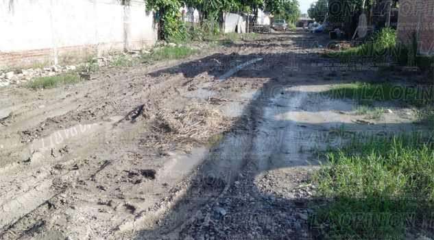 Calles insalubres en la colonia Arboledas Calles insalubres en la colonia Arboledas