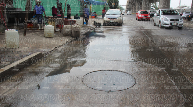 Fétidos olores en pescaderías Fétidos olores en pescaderías