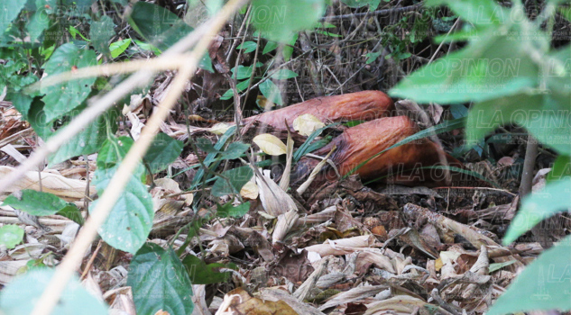 ¡Hallan un cadáver entre la basura! Hallan un cadáver entre la basura