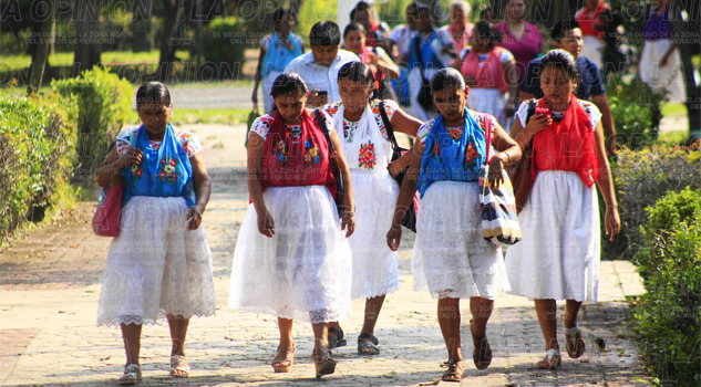 Hay más hablantes de lengua tutunakú Hay más hablantes de lengua tutunakú