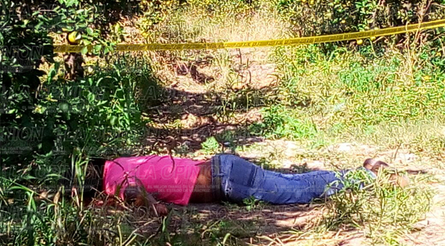 Lo acribillan en un naranjal Lo acribillan en un naranjal