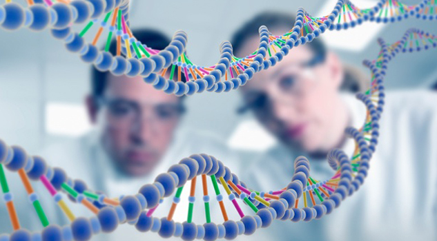 ¿Se puede patentar un ser vivo? Se puede patentar un ser vivo