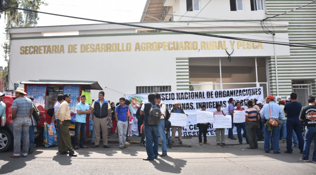 Se van 50 aviadores de Sedarpa Se van 50 aviadores de Sedarpa