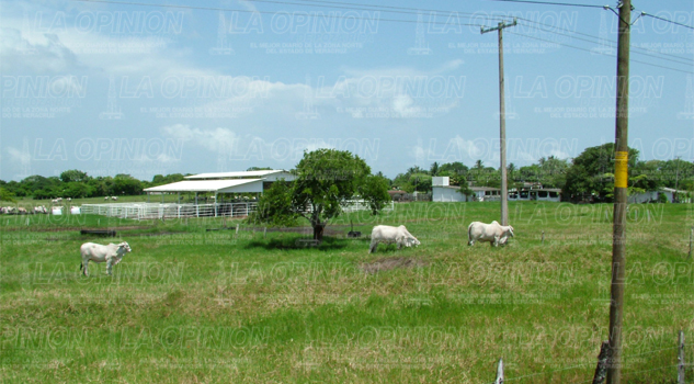 Sin apoyos para el campo Sin apoyos para el campo