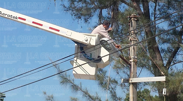 Sustituyen lámparas en la colonia Morelos Sustituyen lámparas en la colonia Morelos