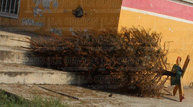 Tiran pinitos en la calle Tiran pinitos en la calle