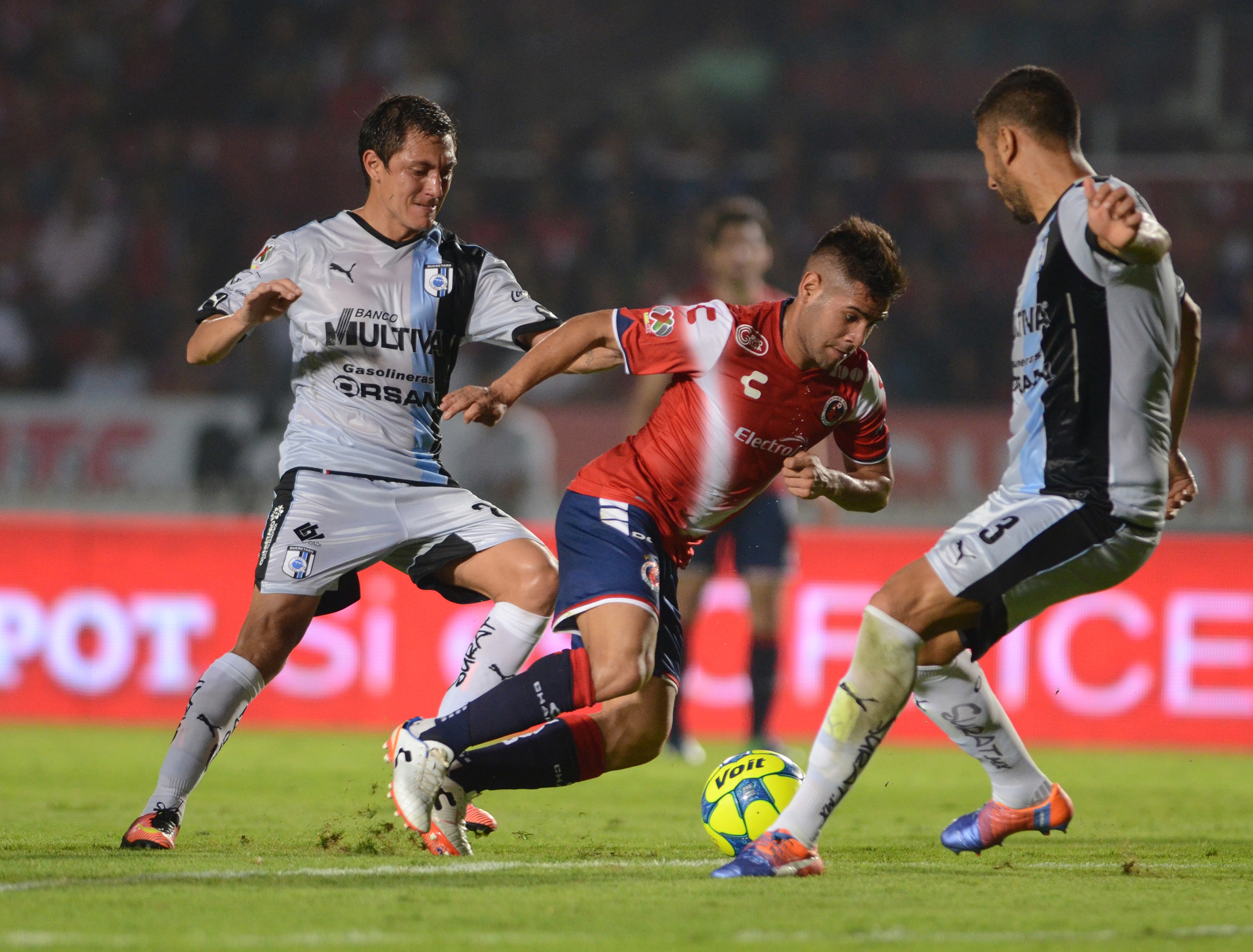 EL TIBURON COMIO GALLO