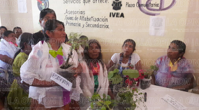 Adultos festejan la lengua materna Adultos festejan la lengua materna