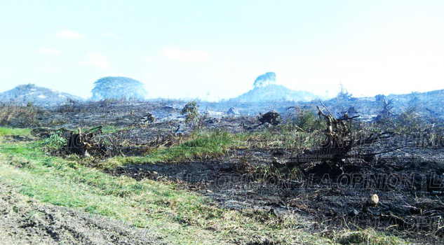 Alertan contra temporada de incendios Alertan contra temporada de incendios