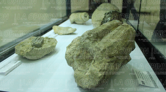 Hay que amar más a la Madre Tierra: Geólogo Amar más a la Madre Tierra